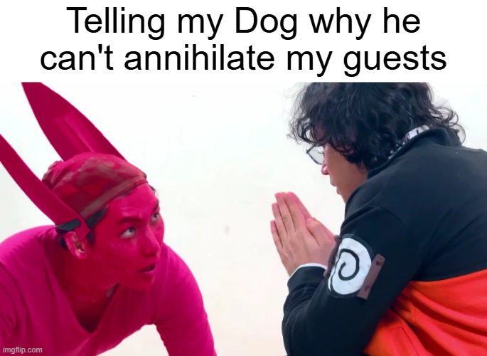 NiceDog | Telling my Dog why he can't annihilate my guests | image tagged in calmingmyinnerself | made w/ Imgflip meme maker