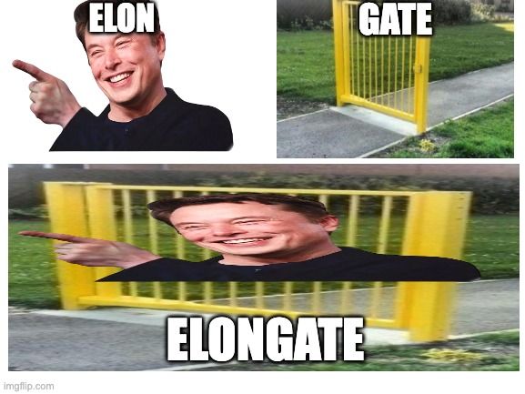 That is a very elongated gate | elon; gate; elongate | image tagged in blank white template,elon musk,gate,bad pun | made w/ Imgflip meme maker