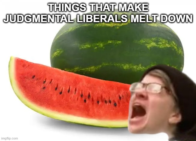 Teachable moment | Things that make Judgmental Liberals Melt Down | image tagged in liberal meltdown meme | made w/ Imgflip meme maker