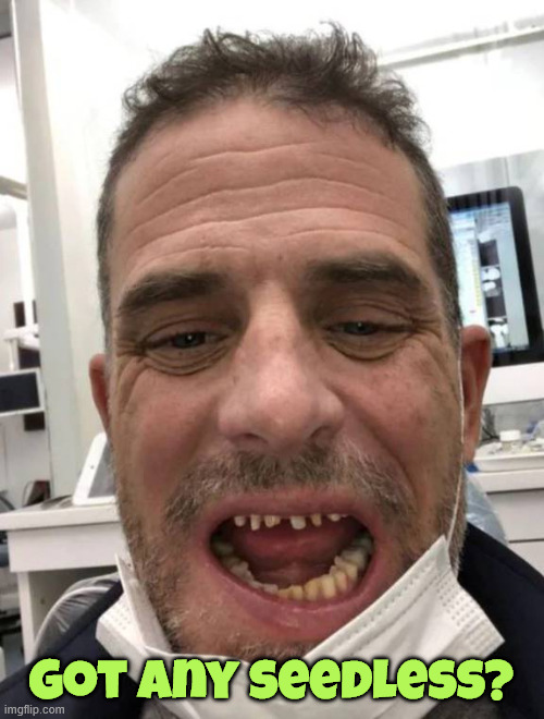 Hunter Biden Crack Teeth | Got any seedless? | image tagged in hunter biden crack teeth | made w/ Imgflip meme maker