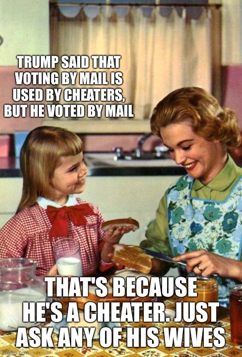 Vintage Mom and Daughter | trump said that voting by mail is used by cheaters, but he voted by mail; That's because he's a cheater. just ask any of his wives | image tagged in vintage mom and daughter | made w/ Imgflip meme maker