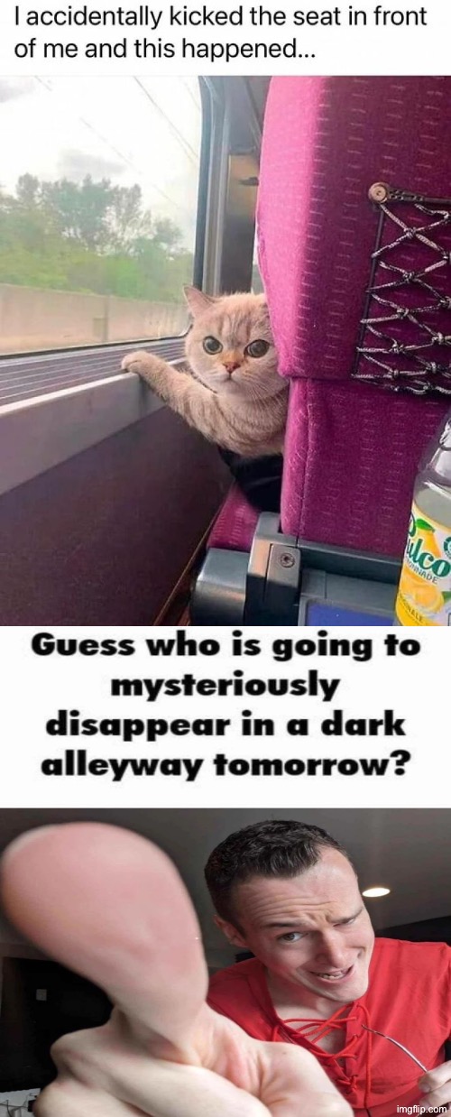 Guess Who's Going To... | image tagged in cats,funny cats,guess who,kill you cat,guess i'll die,reactions | made w/ Imgflip meme maker