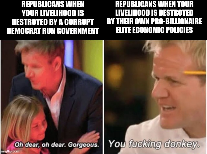 Republicans only pretend to care about you after liberals screw you only to try to screw you with their own evil agenda | Republicans when your livelihood is destroyed by a corrupt Democrat run government; Republicans when your livelihood is destroyed by their own pro-billionaire elite economic policies | image tagged in gordon ramsay kids vs adults,republicans,corruption,scumbag,conservative hypocrisy,elite | made w/ Imgflip meme maker