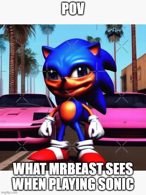 Ultra-Cursed Sonic the Hedgedog | pov; what mrbeast sees when playing sonic | image tagged in ultra-cursed sonic the hedgedog | made w/ Imgflip meme maker