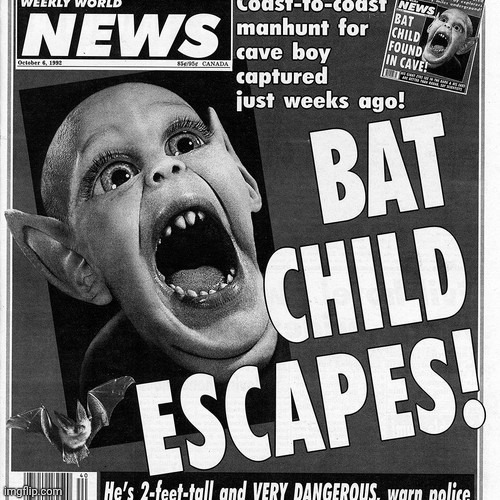Batboy | image tagged in batboy | made w/ Imgflip meme maker