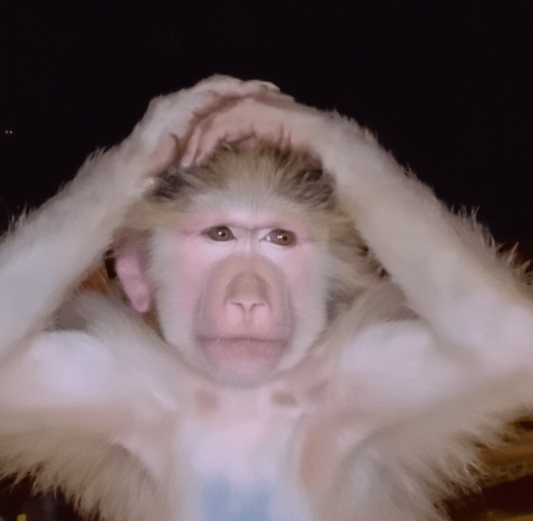 Monke freakout Blank Meme Template