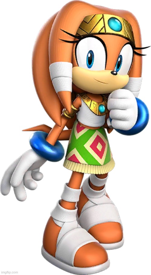 Tikal the Echidna | image tagged in tikal the echidna | made w/ Imgflip meme maker