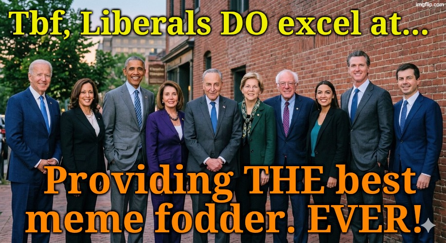 Thank a Libtard today, Kids! | Tbf, Liberals DO excel at... Providing THE best meme fodder. EVER! | made w/ Imgflip meme maker