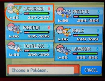 Pokemon Pearl Team Blank Meme Template