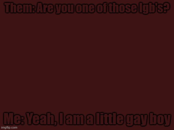 Its just a joke, dont come after me | Them: Are you one of those lgb's? Me: Yeah, I am a little gay boy | made w/ Imgflip meme maker