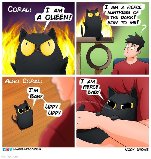 WeFlaps  | image tagged in cats,comics,weflaps,coral,queen,baby | made w/ Imgflip meme maker