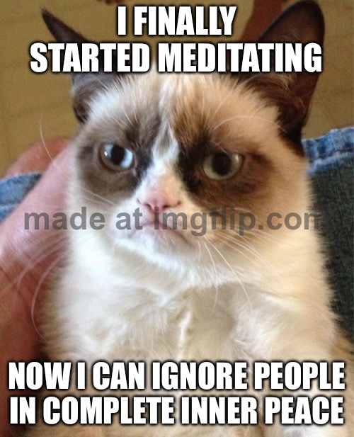 I FINALLY STARTED MEDITATING; NOW I CAN IGNORE PEOPLE IN COMPLETE INNER PEACE | I FINALLY STARTED MEDITATING; NOW I CAN IGNORE PEOPLE IN COMPLETE INNER PEACE | image tagged in memes,grumpy cat,ignore,meditation,cat memes,meditate | made w/ Imgflip meme maker