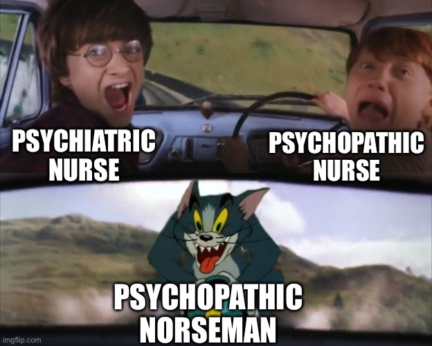 Nurse or Norse | Psychopathic Nurse; Psychiatric Nurse; Psychopathic Norseman | image tagged in tom chasing harry and ron weasly,psychiatrist | made w/ Imgflip meme maker