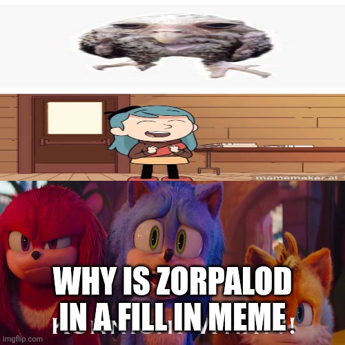 Sonic team react to what?! | Why is zorpalod in a fill in meme | image tagged in sonic team react to what | made w/ Imgflip meme maker