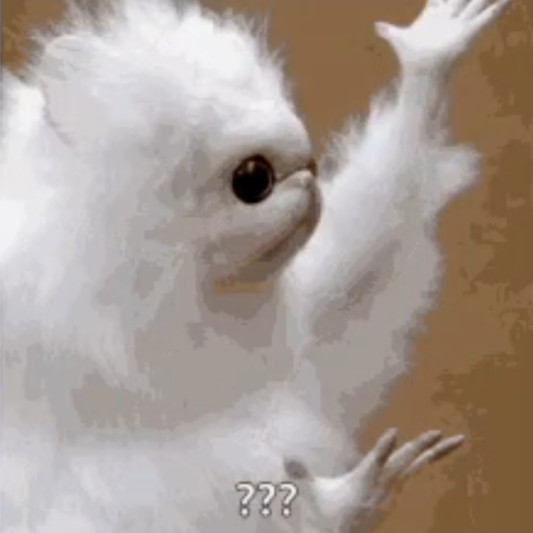 What the hell Blank Meme Template