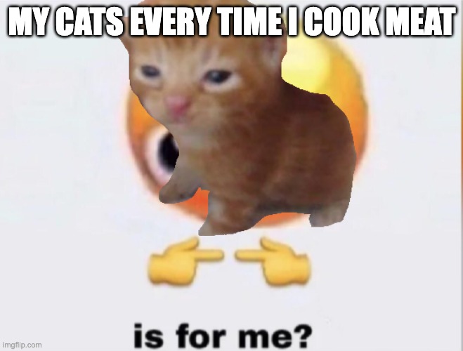 Happens every time especially with chicken. | my cats every time i cook meat | image tagged in is for me,meat,food,cats,meme | made w/ Imgflip meme maker