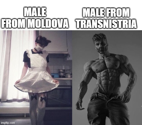Moldovan vs Transnistrian | MALE FROM TRANSNISTRIA; MALE FROM MOLDOVA | image tagged in giga chad vs femboy | made w/ Imgflip meme maker