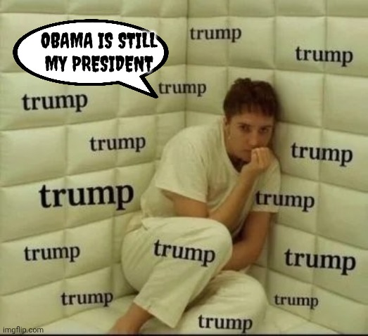 TDS sufferer | Obama is still
my President | image tagged in tds sufferer | made w/ Imgflip meme maker