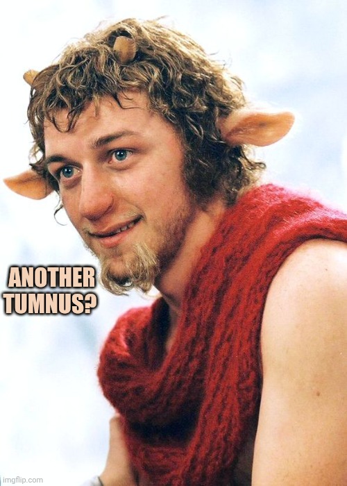 Mr. Tumnus | Another tumnus? | image tagged in mr tumnus | made w/ Imgflip meme maker