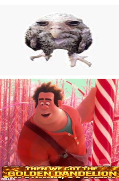 HELP WHY AM I ALWAYS LAUGHING AT ZORPALOD | image tagged in ralph says sayanora to who | made w/ Imgflip meme maker