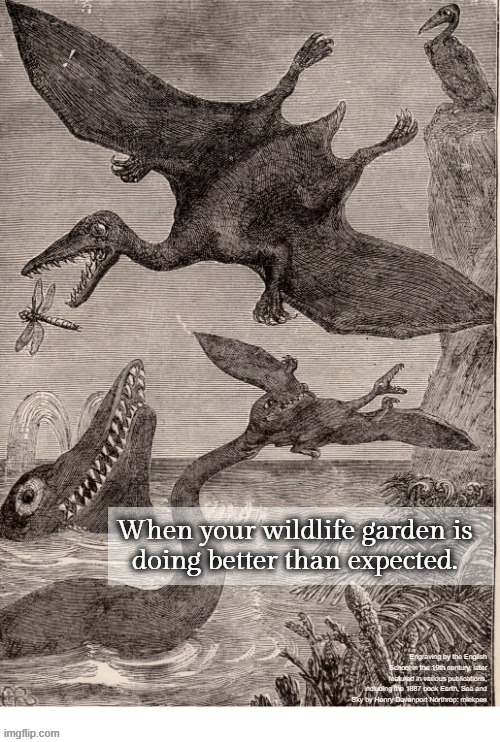 indeed | When your wildlife garden is
doing better than expected. Engraving by the English School in the 19th century, later featured in various publications, including the 1887 book Earth, Sea and Sky by Henry Davenport Northrop: minkpen | image tagged in dinosaurs,victoriana,gardening,wildlife,habitat,nature | made w/ Imgflip meme maker