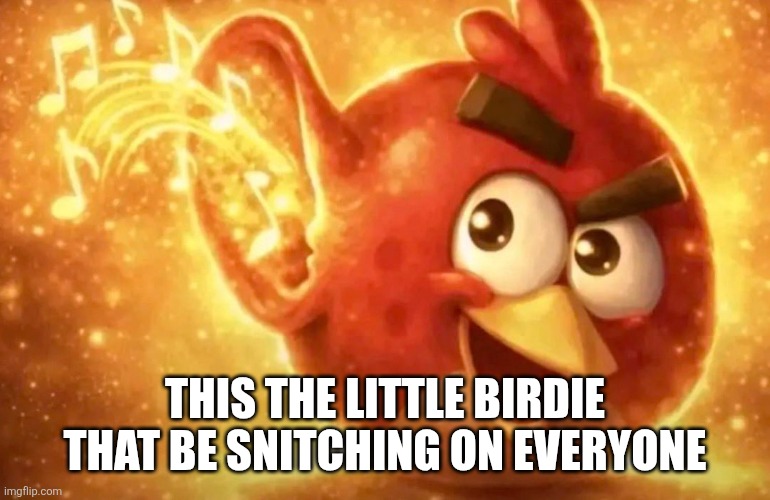Angry Bird with ear open | This the little birdie that be snitching on everyone | image tagged in angry bird with ear open | made w/ Imgflip meme maker