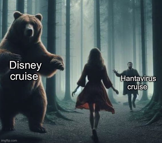 Choices | Disney cruise; Hantavirus cruise | image tagged in memes | made w/ Imgflip meme maker
