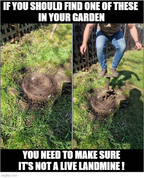 Remember ... Safety First ! | If you should find one of these
 in your garden; you need to make sure it's not a live landmine ! | image tagged in safety first,jumping,land mine | made w/ Imgflip meme maker