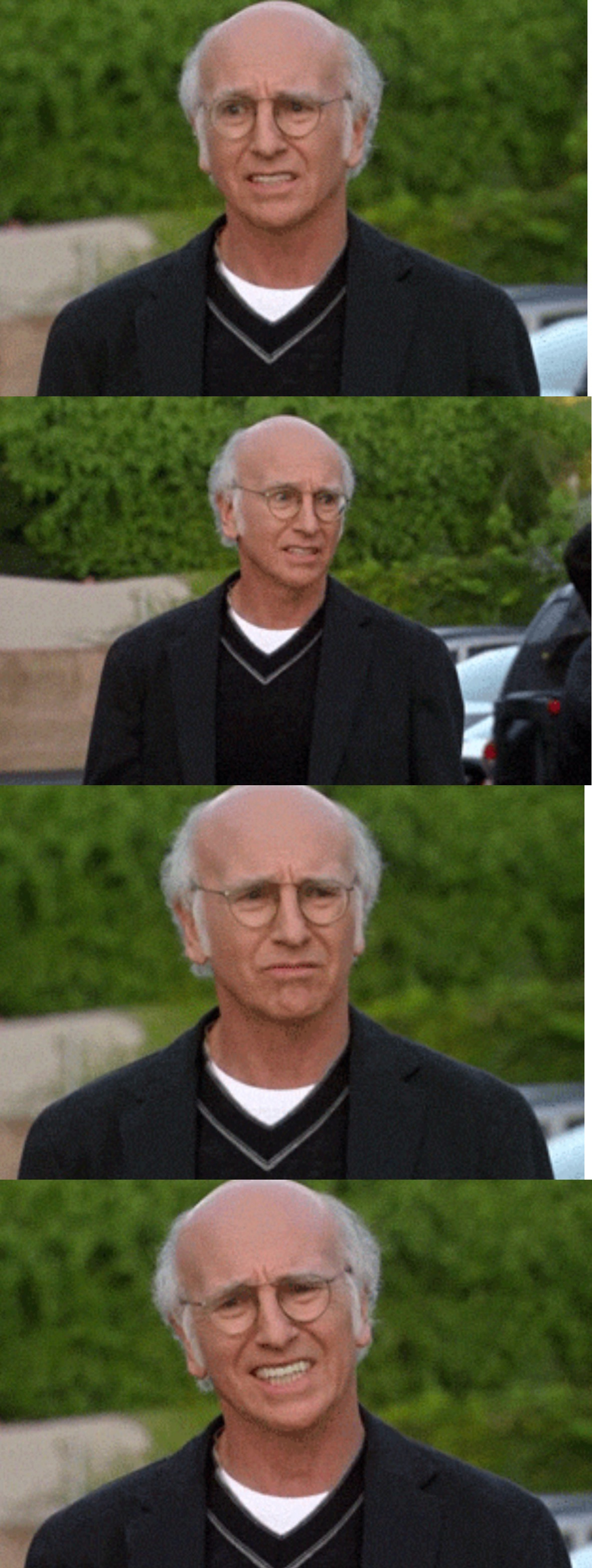 Larry Curb doubtful Blank Meme Template