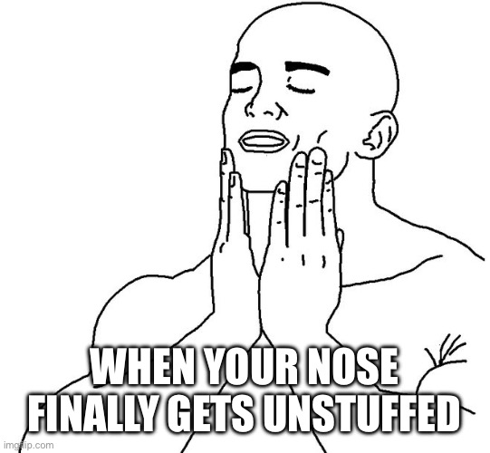 You can now breath normally | When your nose finally gets unstuffed | image tagged in satisfaction,nose,unstuffed,finally | made w/ Imgflip meme maker