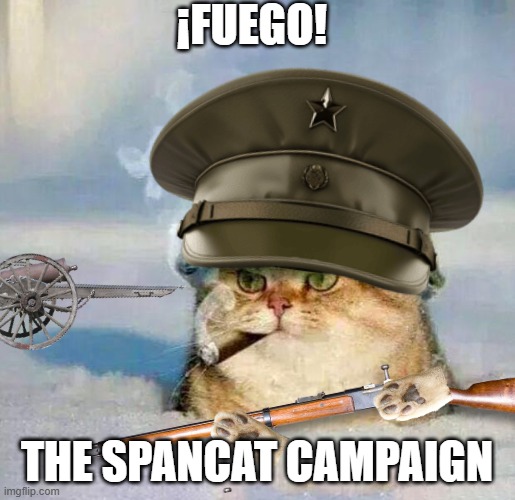 The Spancat Campaign | ¡Fuego! The Spancat Campaign | made w/ Imgflip meme maker