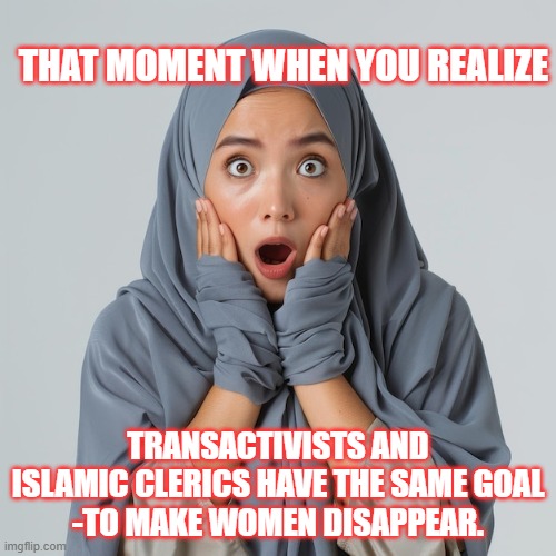Reality Check | That moment when you realize; transactivists and islamic clerics have the same goal
-to make women disappear. | image tagged in transactivists,islamic clerics,democrats | made w/ Imgflip meme maker