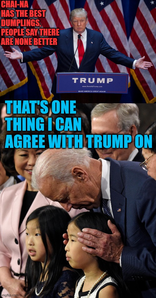 Chai-na has the best dumplings, people say there are none better That's one thing I can agree with Trump on | image tagged in donald trump,joe biden sniffs chinese child | made w/ Imgflip meme maker