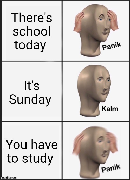 School sucks | There's school today; It's Sunday; You have to study | image tagged in memes,panik kalm panik | made w/ Imgflip meme maker