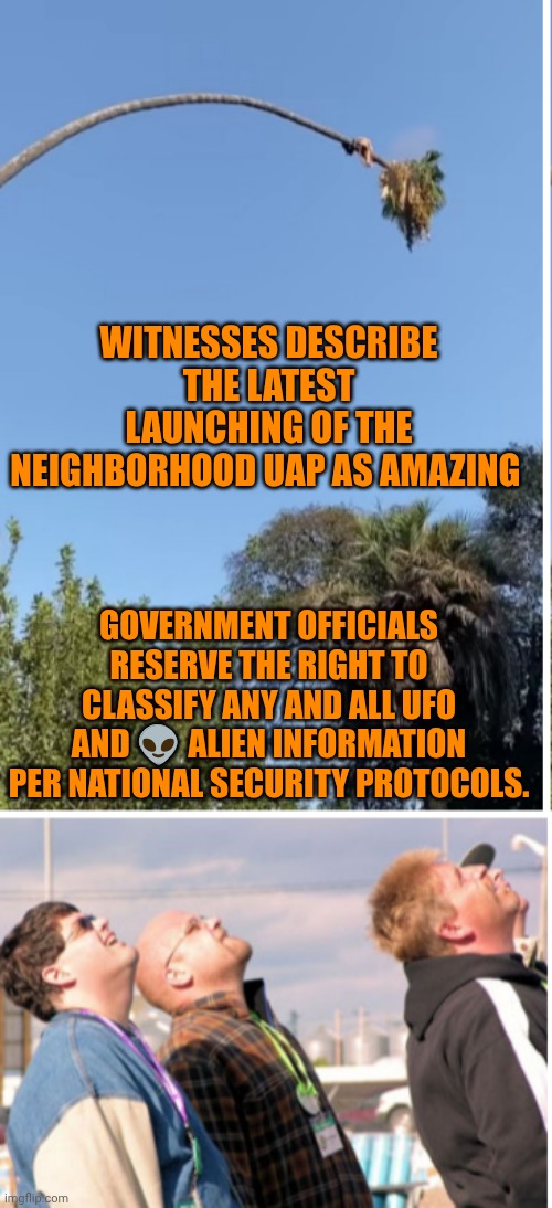 Funny | Witnesses describe the latest launching of the neighborhood uap as amazing; Government officials reserve the right to classify any and all UFO and 👽 alien information per national security protocols. | image tagged in funny,national security,us government,ufos,aliens,witnesses | made w/ Imgflip meme maker