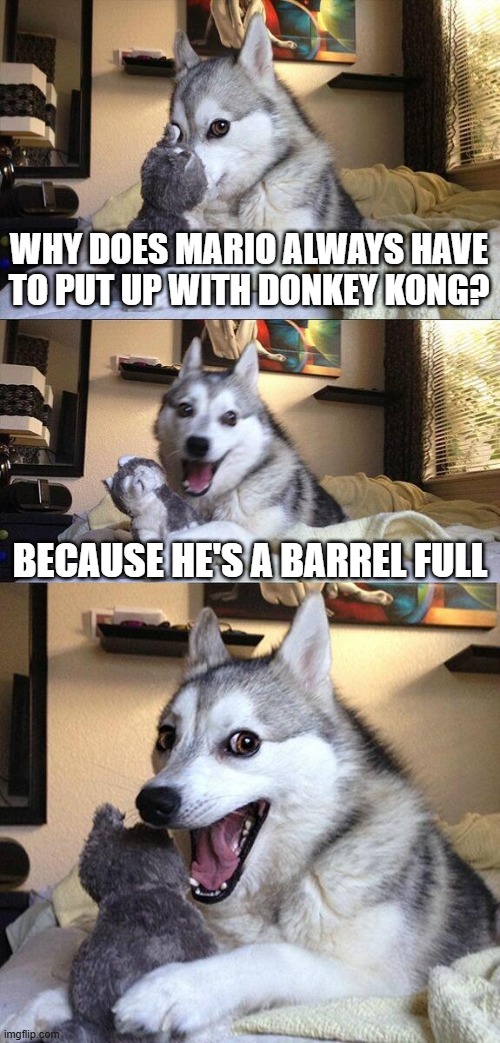 In Gaming | why does mario always have to put up with donkey kong? because he's a barrel full | image tagged in memes,bad pun dog,video game,gaming | made w/ Imgflip meme maker