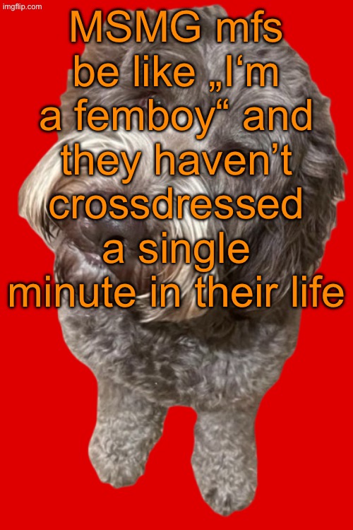 Northers Dog (Transparent) | MSMG mfs be like „I‘m a femboy“ and they haven’t crossdressed a single minute in their life | image tagged in northers dog transparent | made w/ Imgflip meme maker