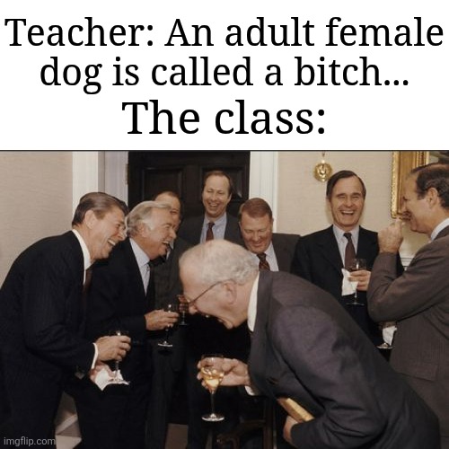 Image Title | Teacher: An adult female dog is called a bitch... The class: | image tagged in memes,laughing men in suits,school,funny | made w/ Imgflip meme maker