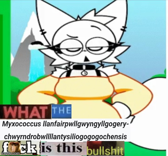 Wendah shitpost Blank Meme Template