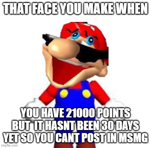 That Face You Make When | that face you make when; you have 21000 points but  it hasnt been 30 days yet so you cant post in msmg | image tagged in smg4 silly mario,that face you make when | made w/ Imgflip meme maker