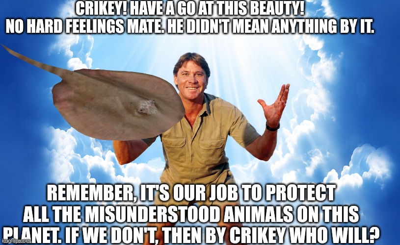 Crocodile tears | Crikey! have a go at this beauty!
No hard feelings mate. He didn't mean anything by it. Remember, It's our job to protect all the misunderstood animals on this planet. if we don't, then by crikey who will? | image tagged in steve irwin | made w/ Imgflip meme maker