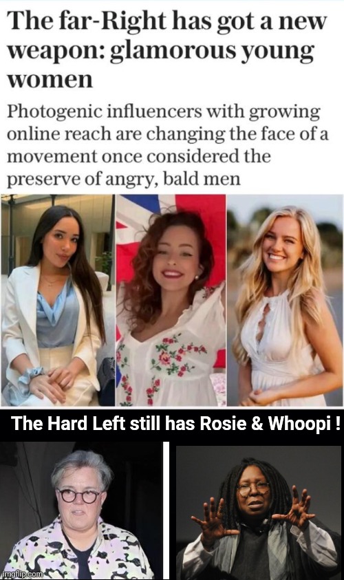Beauty vs the Beasts | The Hard Left still has Rosie & Whoopi ! | image tagged in rosie o'donnell,whoopi goldberg | made w/ Imgflip meme maker