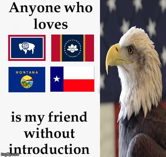 image tagged in america,mississippi,texas | made w/ Imgflip meme maker