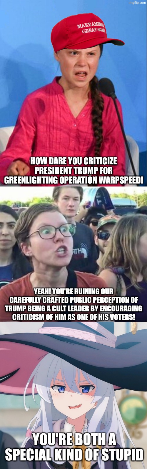 The useful kind of stupid, more specifically. | How dare you criticize president Trump for greenlighting operation warpspeed! Yeah! You're ruining our carefully crafted public perception of trump being a cult leader by encouraging criticism of him as one of his voters! You're both a special kind of stupid | image tagged in greta thunberg how dare you,trigger a leftist,wandering witch elaina | made w/ Imgflip meme maker