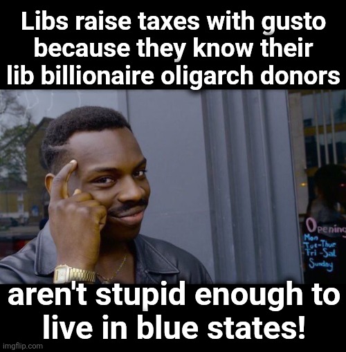 Libs raise taxes with gusto
because they know their
lib billionaire oligarch donors; aren't stupid enough to
live in blue states! | image tagged in memes,roll safe think about it,democrats,oligarchy,taxes,billionaires | made w/ Imgflip meme maker