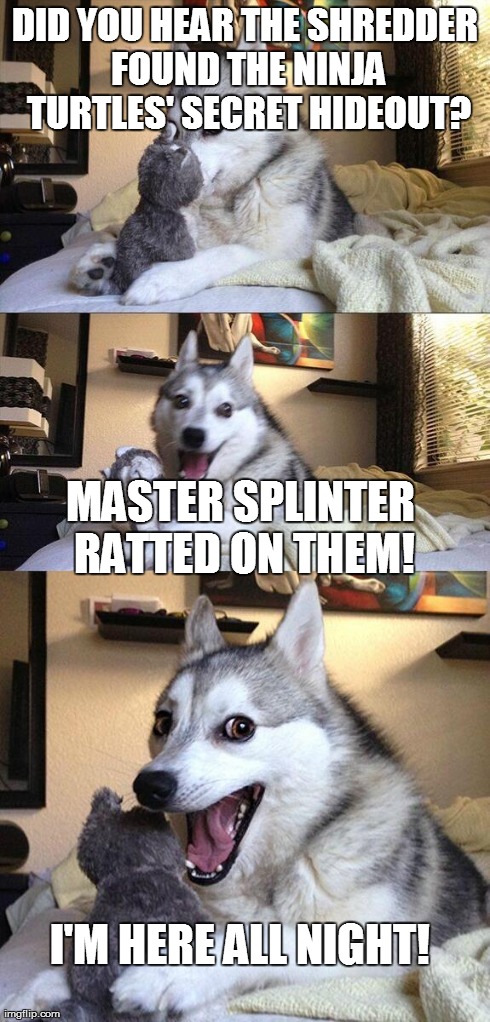 Bad Pun Dog | DID YOU HEAR THE SHREDDER FOUND THE NINJA TURTLES' SECRET HIDEOUT? MASTER SPLINTER RATTED ON THEM! I'M HERE ALL NIGHT! | image tagged in memes,bad pun dog | made w/ Imgflip meme maker