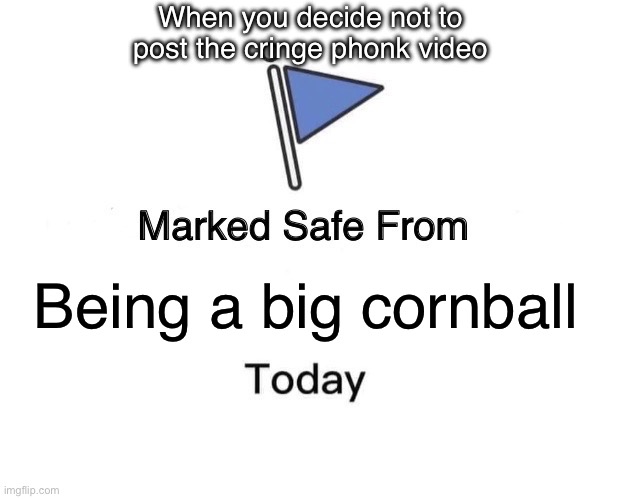 Spared from big humiliation | When you decide not to post the cringe phonk video; Being a big cornball | image tagged in memes,marked safe from | made w/ Imgflip meme maker