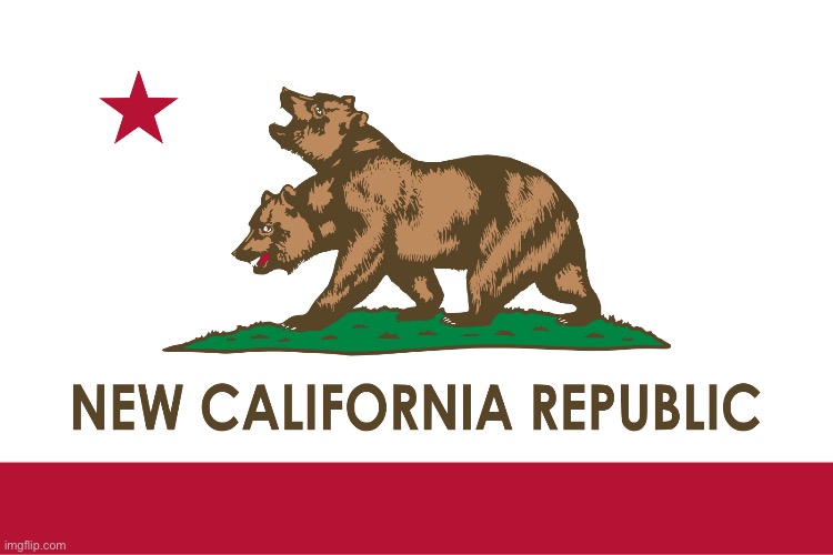 NCR Flag | image tagged in ncr flag | made w/ Imgflip meme maker