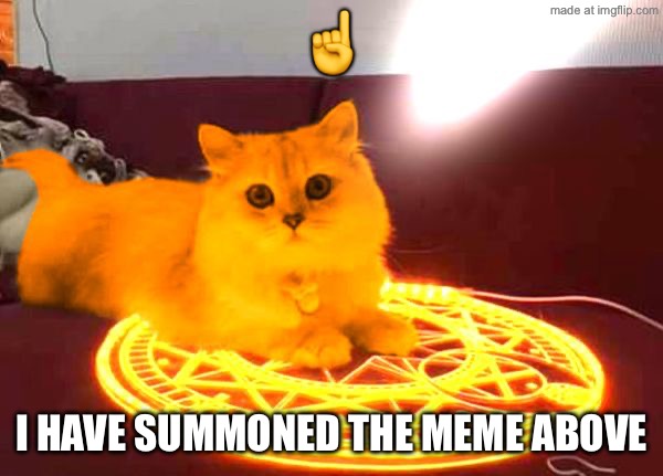 RayCat Powers | ☝️; I have summoned the meme above | image tagged in raycat powers | made w/ Imgflip meme maker