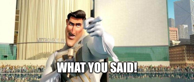 Megamind Thank You Random Citizen | What you said! | image tagged in megamind thank you random citizen | made w/ Imgflip meme maker
